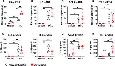 Asthmatic lung fibroblasts promote type 2 immune responses via endoplasmic reticulum stress response dependent thymic stromal lymphopoietin secretion